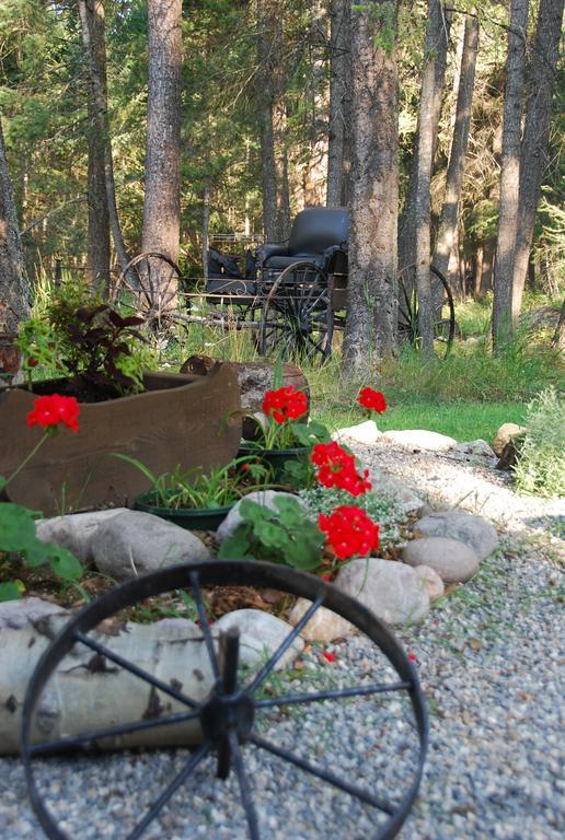Kicking Horse Canyon Guest House Golden Eksteriør bilde