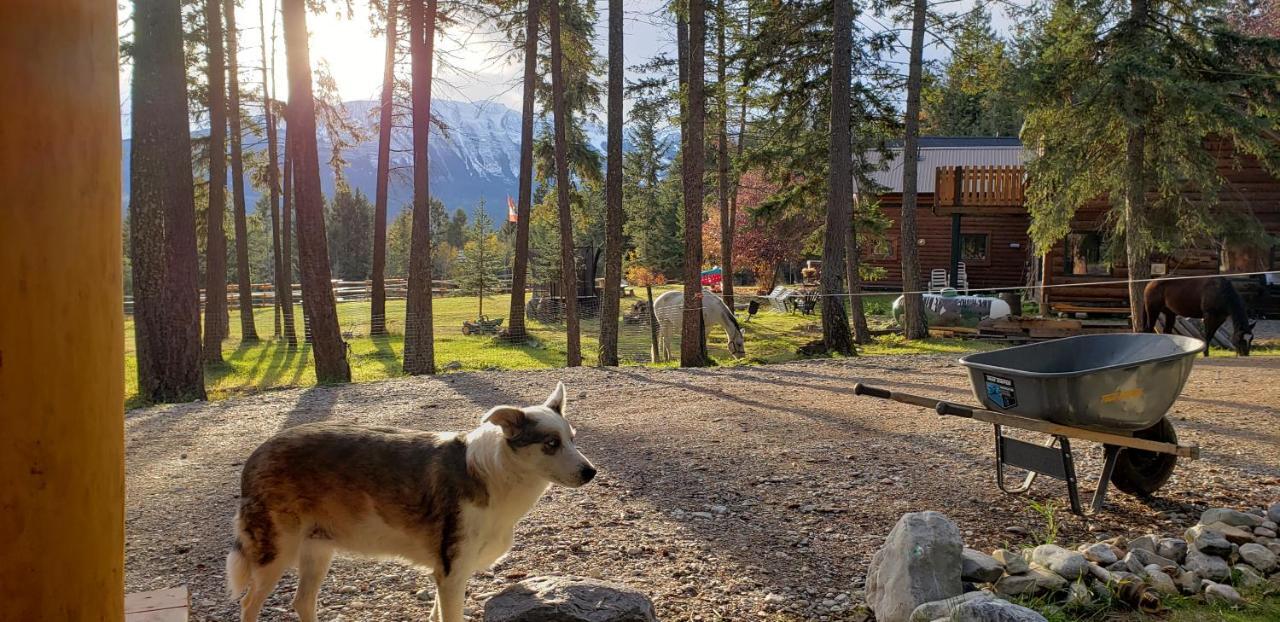 Kicking Horse Canyon Guest House Golden Eksteriør bilde