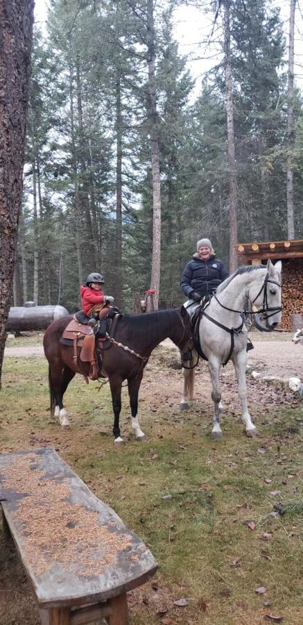 Kicking Horse Canyon Guest House Golden Eksteriør bilde