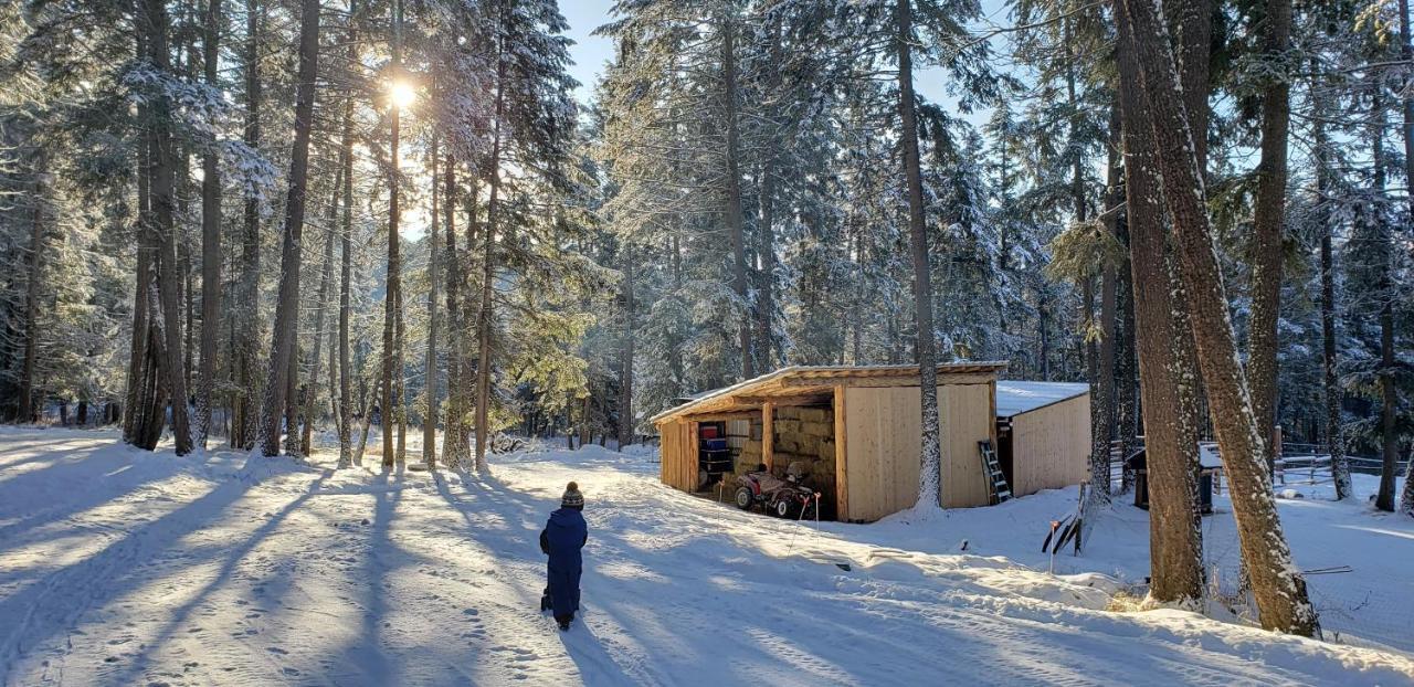 Kicking Horse Canyon Guest House Golden Eksteriør bilde